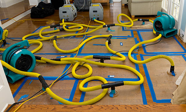 Professional Burst Pipe Water Damage technician working in Willernie, MN